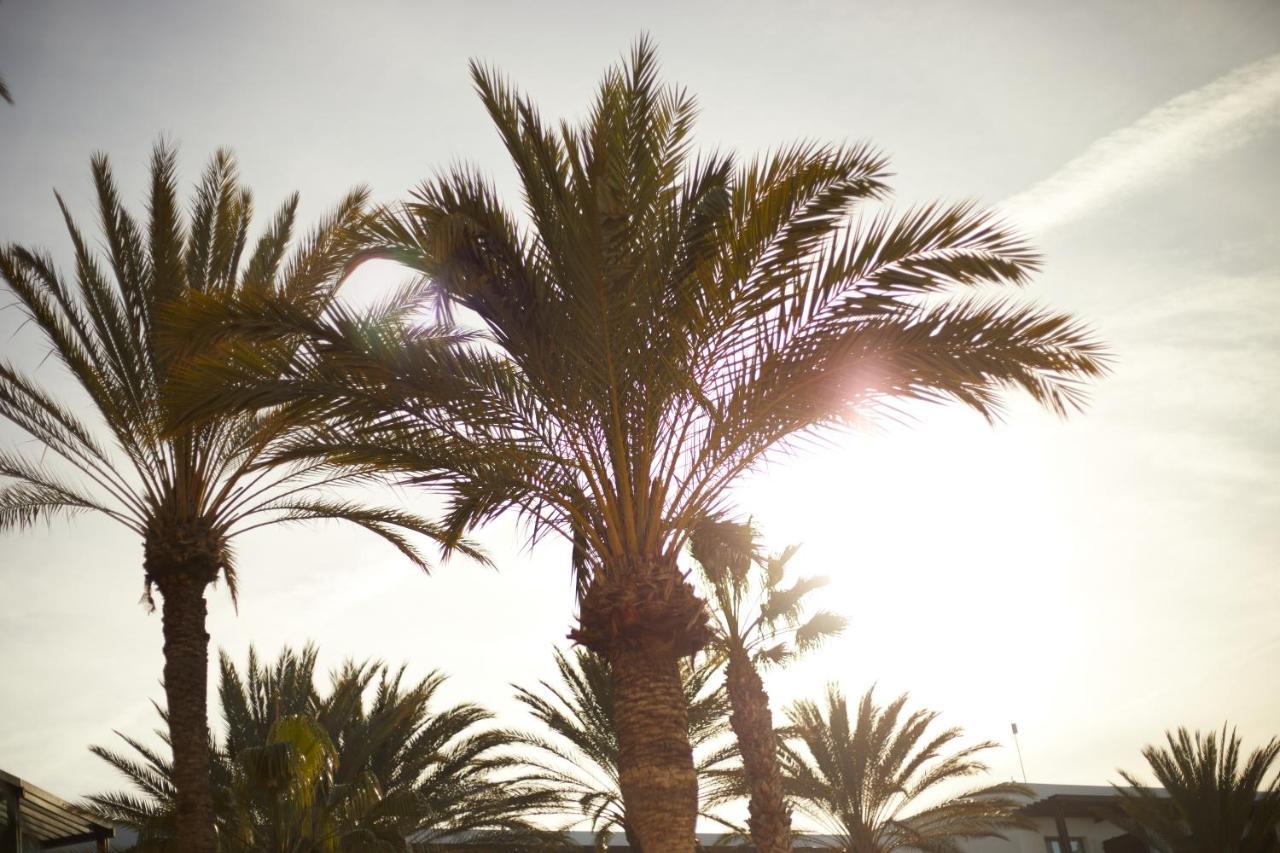 เอสเปเรีย ลันซาโรเต Hotel ปูแอร์โตกาเลโร ภายนอก รูปภาพ Palm trees in the desert